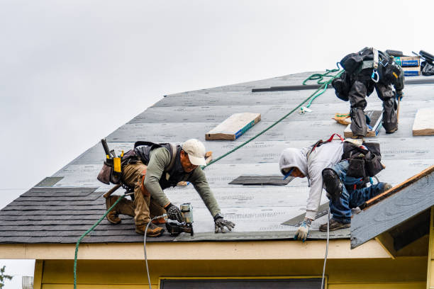 Professional Roofing technician working in Linden, MI